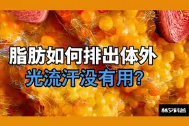 脂肪怎样离开身体？出汗可以吗？1分钟搞懂原理视频封面