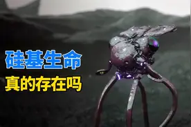 不需要水和氧气，宇宙中的硅基生命，比人类更高级？视频封面