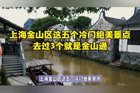 上海金山区这五个冷门绝美景点，去过3个就是金山通