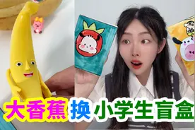 用会唱歌的大香蕉，换8个小学生自制盲盒，里面还有宝石小绵羊视频封面