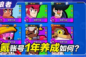 【流浪者】0氪账号一年养成如何？星妙之路靠不靠谱？丨荒野乱斗视频封面