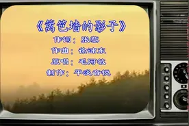 《篱笆·女人和狗》电视剧主题曲《篱笆墙的影子》-毛阿敏视频封面
