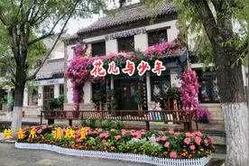 纯音乐《花儿与少年》电子琴版，超好听！视频封面