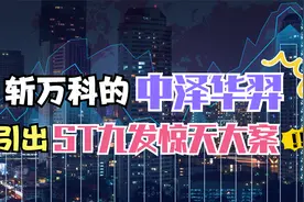斩万科的中泽华羿，引出ST九发惊天大案！视频封面