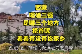 西藏“喝酒三强”是哪三个地方？榜首呢？看看有没有你家乡！视频封面