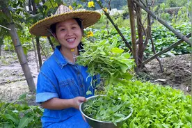 新鲜的萝卜菜苗，做成一大盘上汤萝卜菜，汤鲜菜嫩，超级下饭