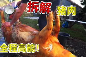 乌克兰人全程只用一把小刀，在十分钟内就拆解了一头猪！？视频封面
