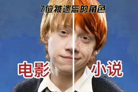 哈利波特角色们本身的样子，被太多人遗忘了，小说和电影的区别视频封面