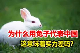 为什么用兔子代表中国，而不是龙或者熊猫，这意味着实力差吗？
