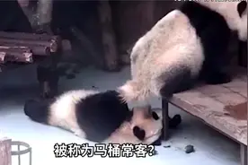 三秒钟教你学会山东话