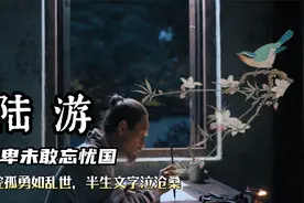 一口气看完陆游的一生视频封面