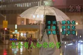 谈柒柒《怎么会有人知你的苦》完整版视频封面