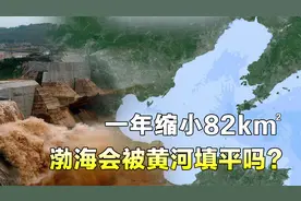 平均深度仅18米！黄河22年向渤海输沙32亿吨，未来会被填平吗？视频封面