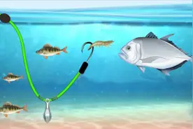 专治大鱼的海钓倒钓钓组视频封面