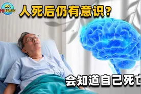 人类知道自己的死？科学家：大脑短暂“苟活”，死后仍然存在意识视频封面