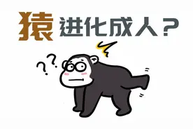 看了灵长王国后突然想到，为什么现在的猿不再进化成人了？视频封面