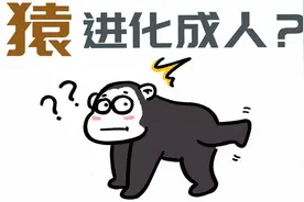 看了灵长王国后突然想到，为什么现在的猿不再进化成人了？视频封面