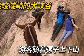 游客在陡峭险峻的大峡谷中骑骡子登顶，第一视角看着都头晕视频封面