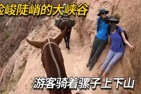游客在陡峭险峻的大峡谷中骑骡子登顶，第一视角看着都头晕视频封面