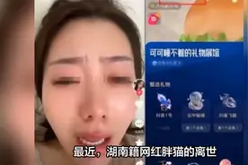 胖猫离世引发网友热议，捞女谭竹被指责，胖猫姐姐发声回击谣言。视频封面