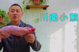 做兔肉还是四川人有一套，这样炒几分钟搞定，兔肉鲜嫩入味特好吃视频封面