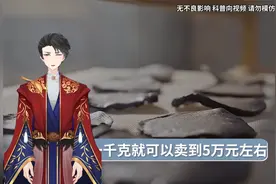 五毒之首的癞蛤蟆身上毒液，却是我国严禁出口的顶级药材？视频封面