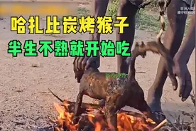 非洲哈扎比炭烤猴子，半生不熟就开始吃