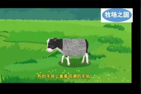 五语下《牧场之国》视频封面