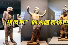 “胡风系”的大唐表情包视频封面