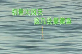 初春风大选位很重要，大风天选在这种钓点下竿，照样钓过瘾视频封面