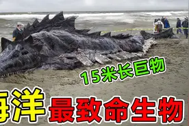 海洋中“最致命”的10大生物，你见过15米长的恐怖海怪吗？视频封面