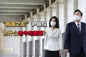 “韩国之蛇”尹锡悦，52岁娶40岁金建希，为什么老牛吃嫩草？视频封面
