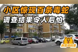 长沙一小区惊现百条毒蛇，人蛇大战一触即发，调查结果令人后怕视频封面