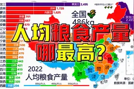 吉林和黑龙江也太帅了吧！全国人均粮食产量，1978-2022视频封面