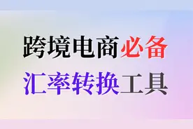 为跨境卖家设计的插件【汇率转换】支持多平台和多币种视频封面