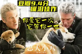 超过143万人打出9.4的高分，狗狗用尽一生等待主人的催泪感人故事视频封面