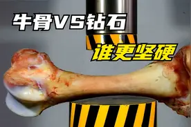 10斤的牛骨VS坚不可摧的钻石，液压机硬核测试，谁会更加坚硬？视频封面