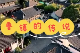鲁镇的传说 智慧和勇气的力量 不同的孔乙己 不同的阿Q视频封面