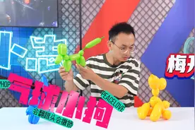 会撒娇卖萌的气球小狗玩具视频封面