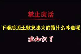 禁止废话：下雨后泥土散发出来的是什么味道呢？涨知识了视频封面