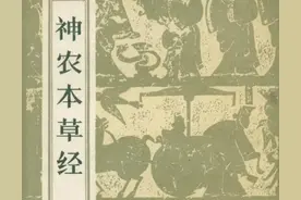 倪海厦《神农本草经》精华上经1图片