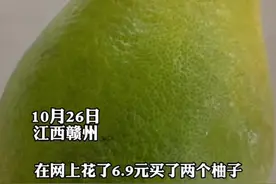 网购柚子全是皮，果肉还没橘子大：很气愤，一口就吃掉图片
