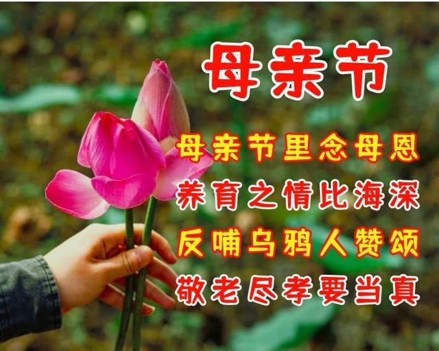 最优美的母亲节祝福语,祝天下母亲幸福快乐
