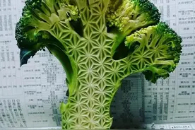 西兰花纵切面竟然是这样图片