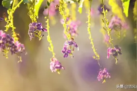 被人冷落的暗示说说图片