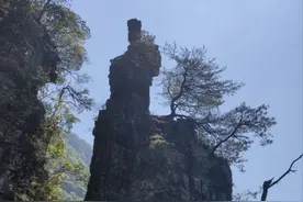 广西一女子请朋友吃家乡菜，朋友吐槽吃不下，网友：没见过世面图片