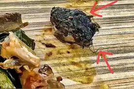 “指鼠为鸭”都惊动联合国教科文组织了！图片