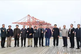 回首来时路 郁郁满芳华 | 钦州市退休老同志老码头来看新码头图片
