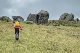 骑行爱好者，排队“买空”万元自行车图片