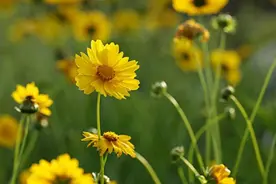 以下五种人，很不好惹，惹了，麻烦就来了图片